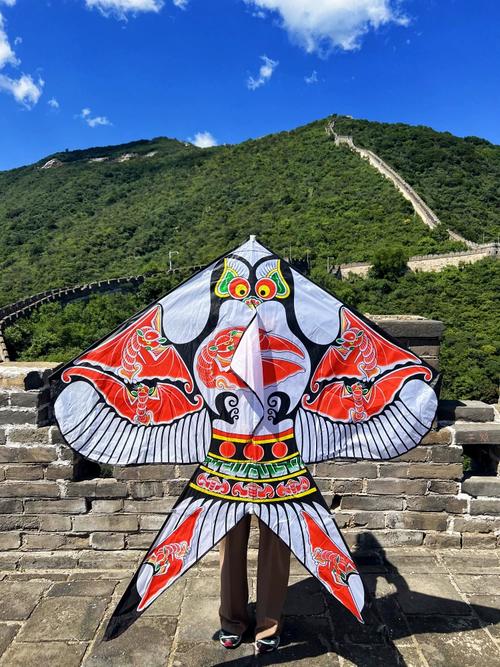 西安鼓楼清晨城根下的沙燕风筝