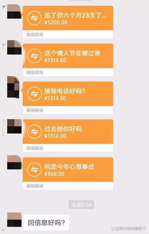 情侣同居共同还贷转账记录截图