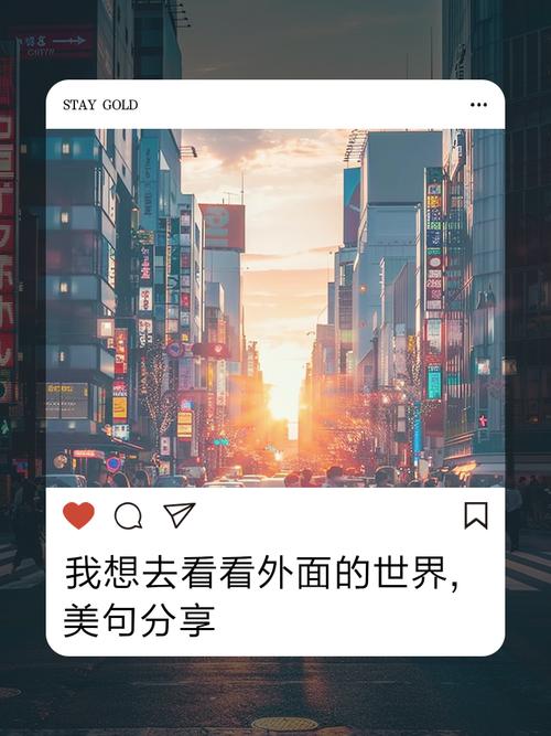 我们为什么需要看到外面的世界,又不想被看见?