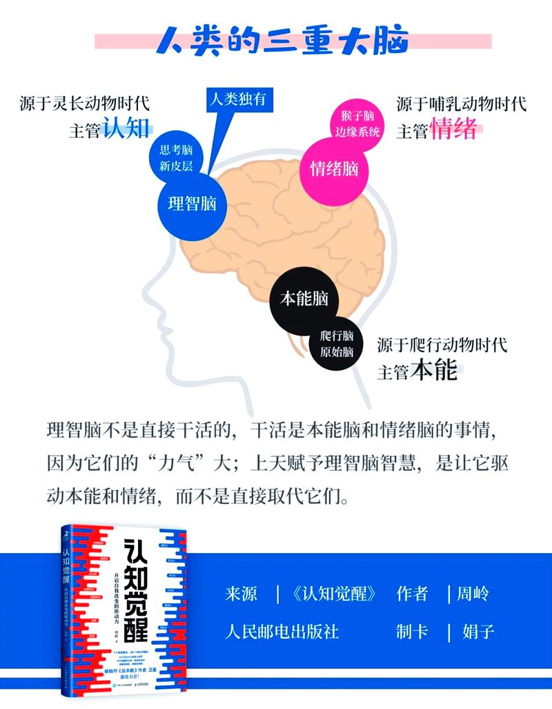1. 大脑的丑话说在前头：理智是情绪的奴隶