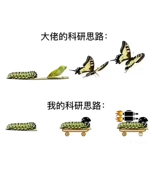 当科研撞上现实，一地鸡毛还是满地黄金？
