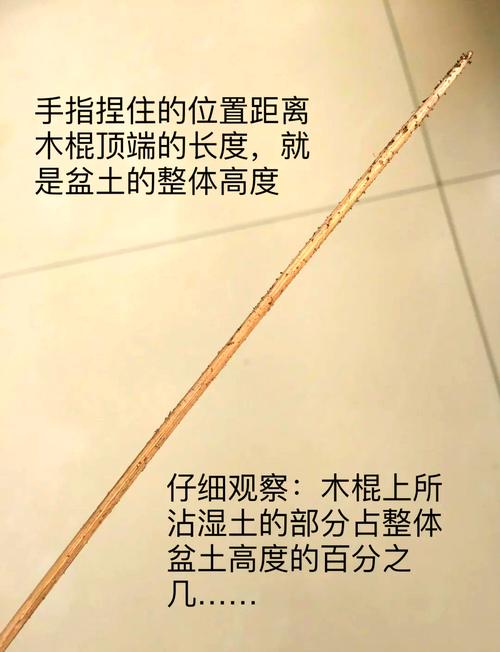 手指测试盆土干湿示意图