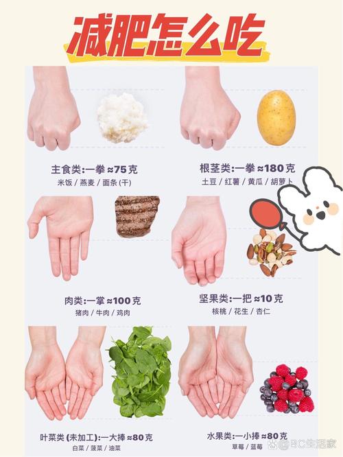 手掌测量法坚果份量对比示意图