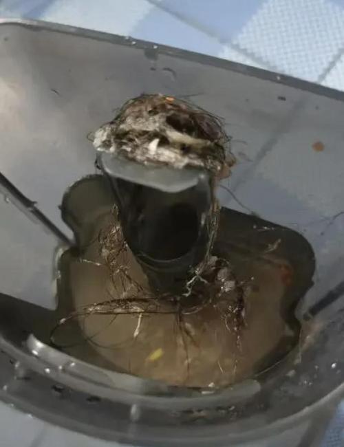 洗地机污水桶长期未清洗发霉状态
