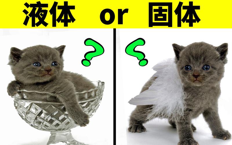 科研成果也能这么不正经？盘点那些让我惊掉下巴的研究