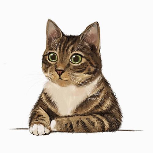 中学项目式学习课堂上学生展示手绘猫咪主题海报的场景