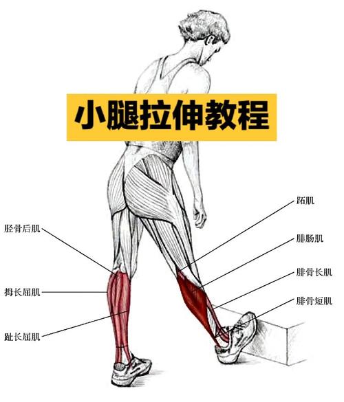 肌肉拉伤后的RICE原则操作细节-仁者医
