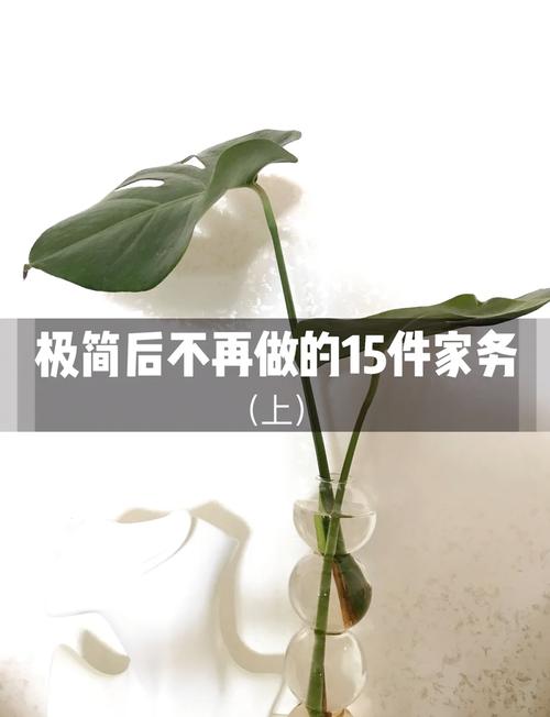 这些情况，极简家务真的不适用