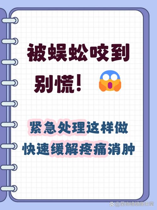 不小心被咬了，怎么办？