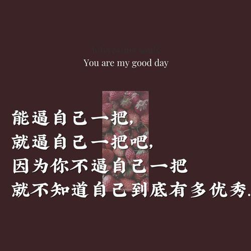 你不用逼自己每天写，更不用写给别人看