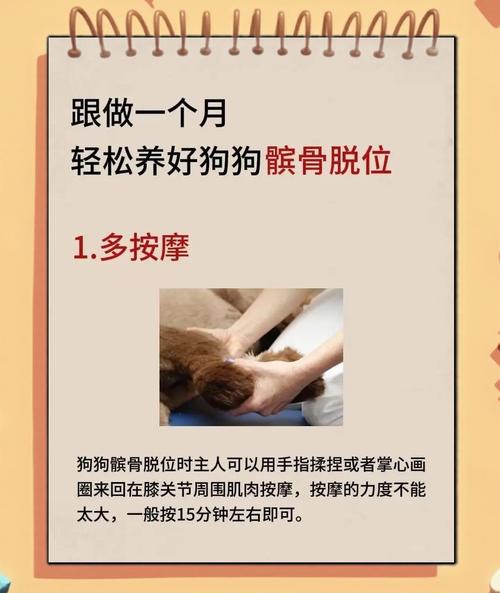 宠物骨折错误按摩操作示意图