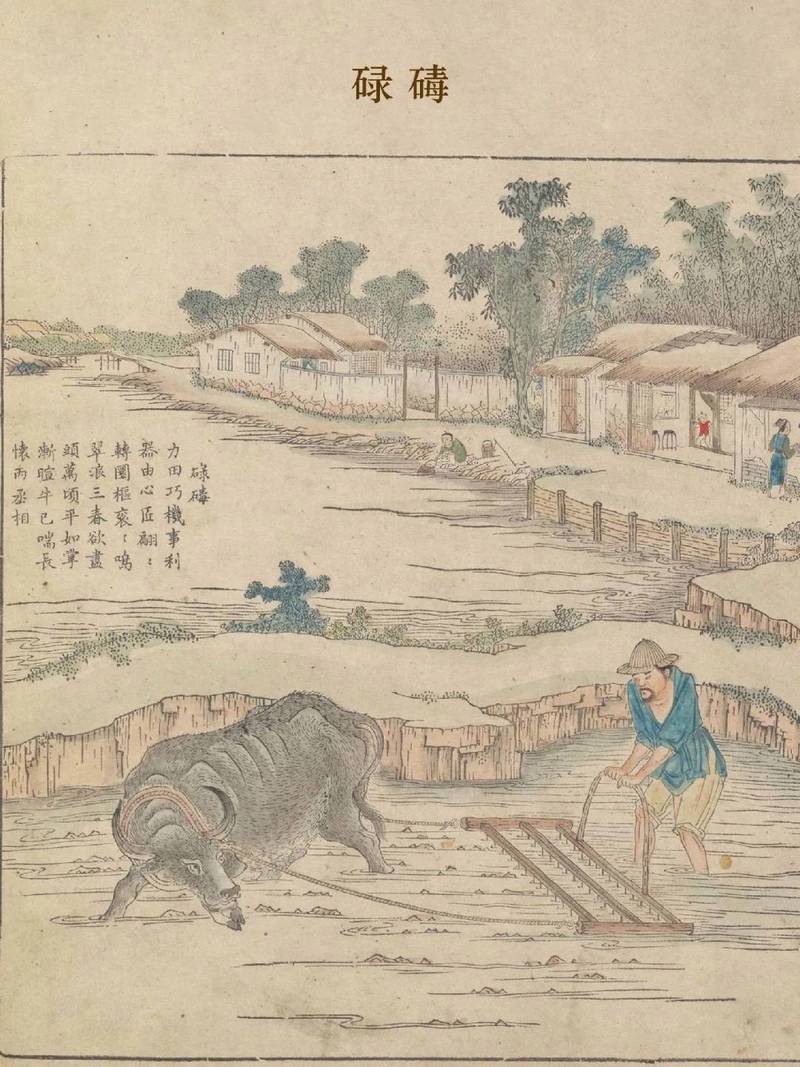 古代北方农田休耕轮作示意图