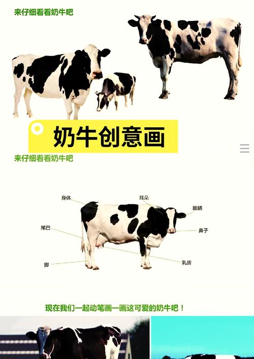 我们快要忘了自己是哺乳动物