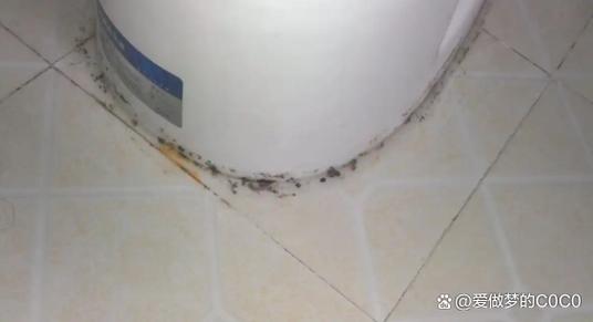 马桶底座玻璃胶发霉实拍
