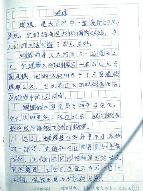 小学语文五年级说明文作比较优秀习作片段