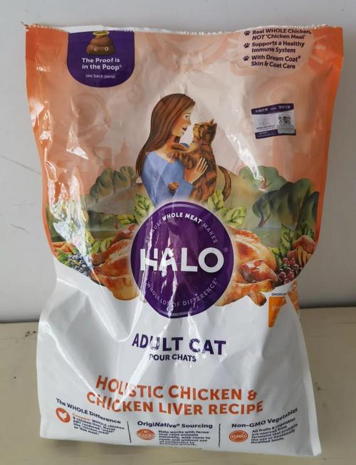 猫咪站在猫粮碗边拒绝吃处方粮实拍