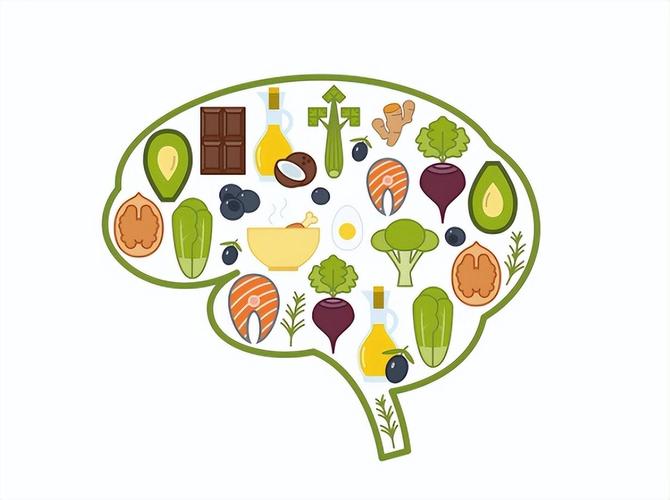 健脑食物大脑健康插图
