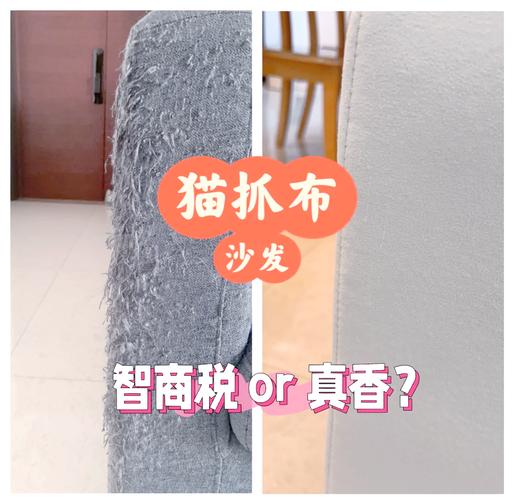 被猫抓坏的布沙发对比立式剑麻风猫爬架照片