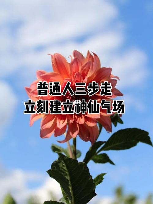 真遇到事儿了，普通人按这三步走就没错