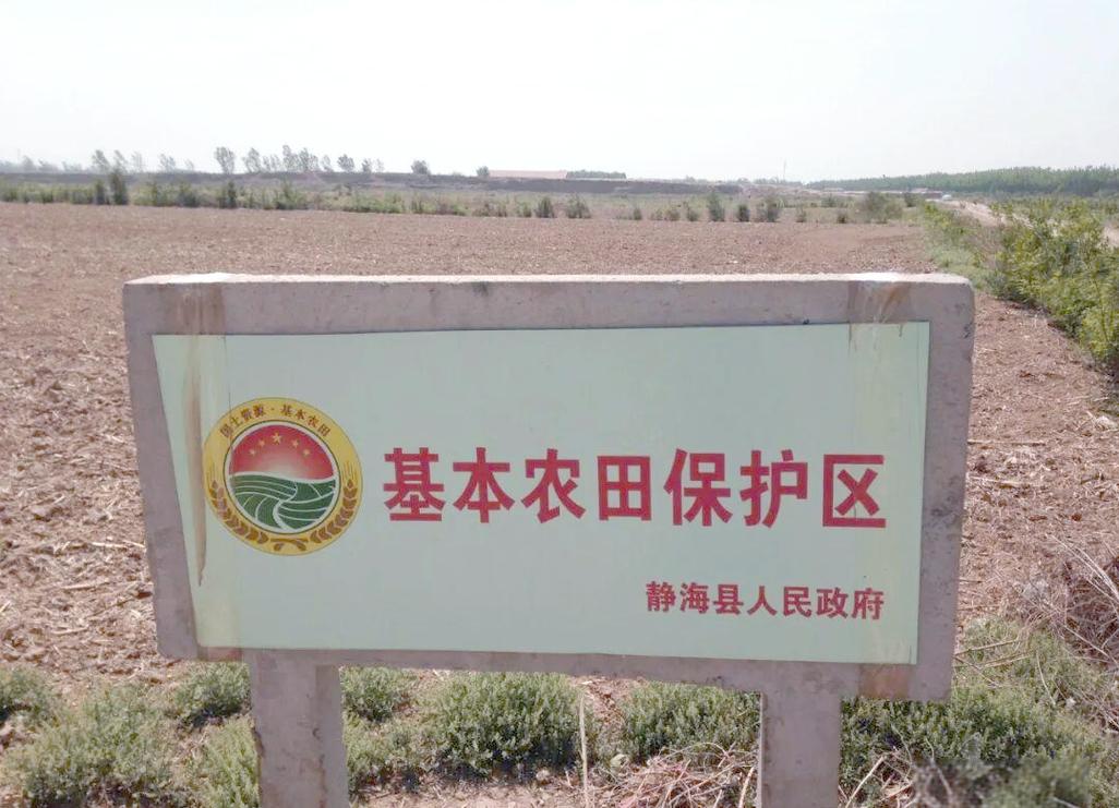 永久基本农田保护标识牌实景