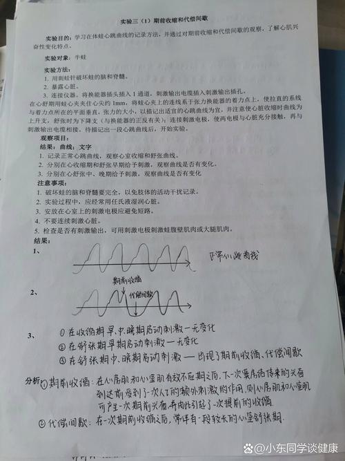 我的间歇休息实验日志