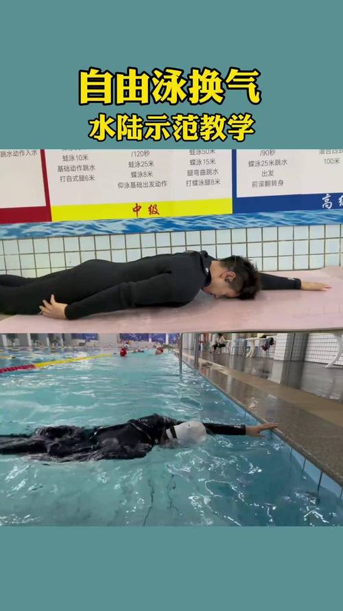 自由泳换气转头动作侧视图