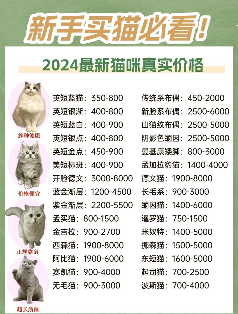 价格那一套,藏着多少猫腻