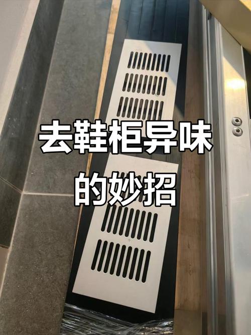 你鞋柜里的异味,它也能管一管