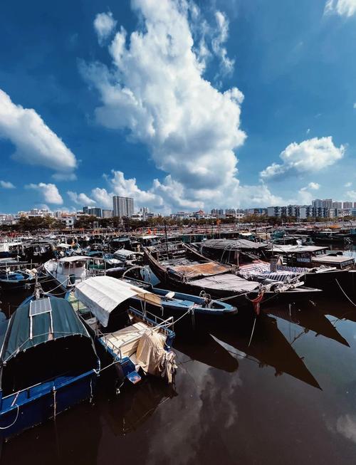 三、渔港与电驴：北海的毛细血管