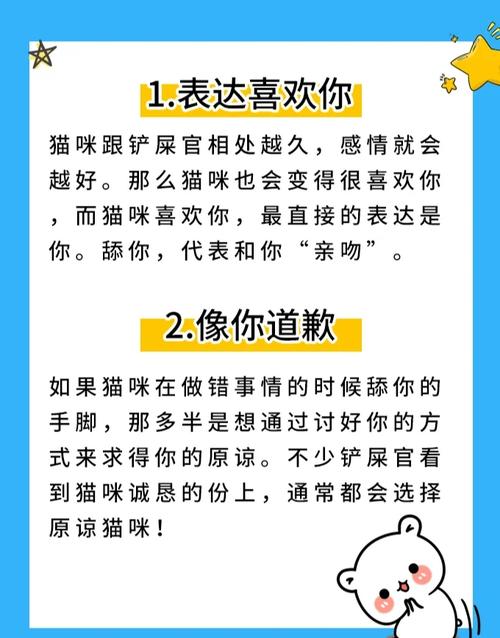 舔手盯饭，这些小心思你得懂