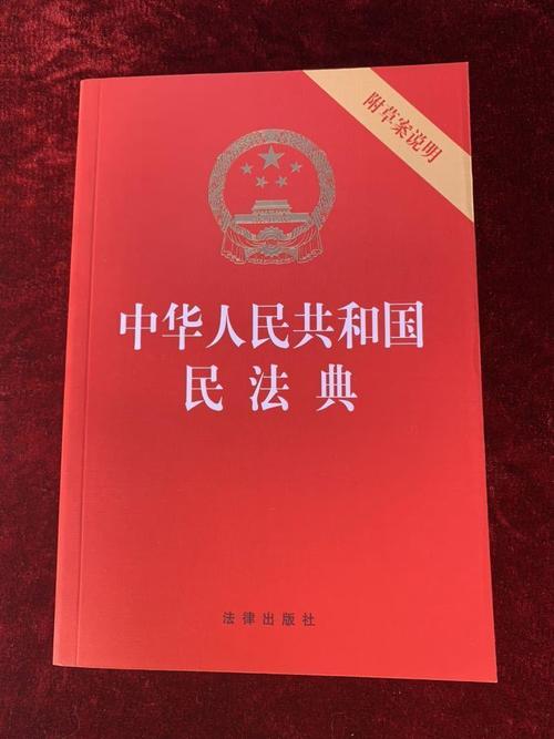 中华人民共和国民法典第八条原文书影