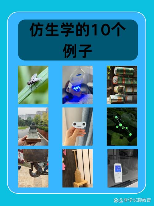 原始反射给工业仿生带来的新启发