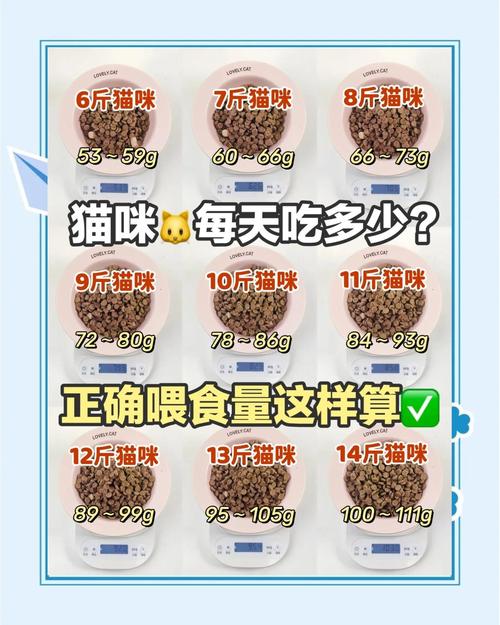 成年犬猫每日喂食量参考对照表