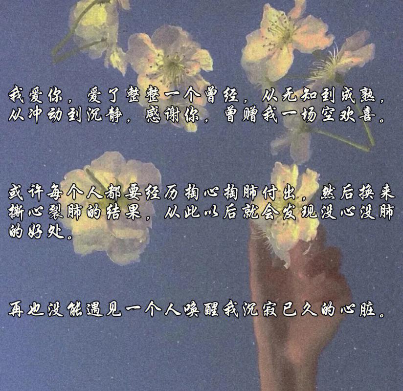 最后的一些心里话