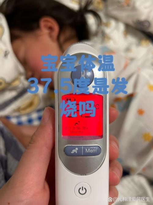 新手父母使用育儿APP记录宝宝体温的实拍场景