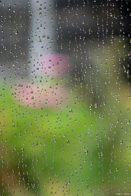 原来没带伞，才是雨天的彩蛋