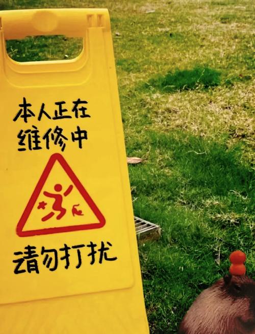 日常维护没那么麻烦，别被吓退
