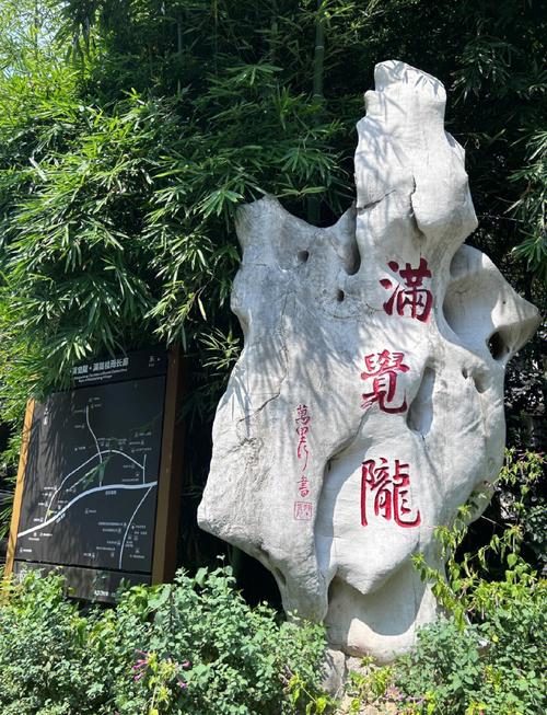 杭州满觉陇桂雨落在白瓷茶杯上