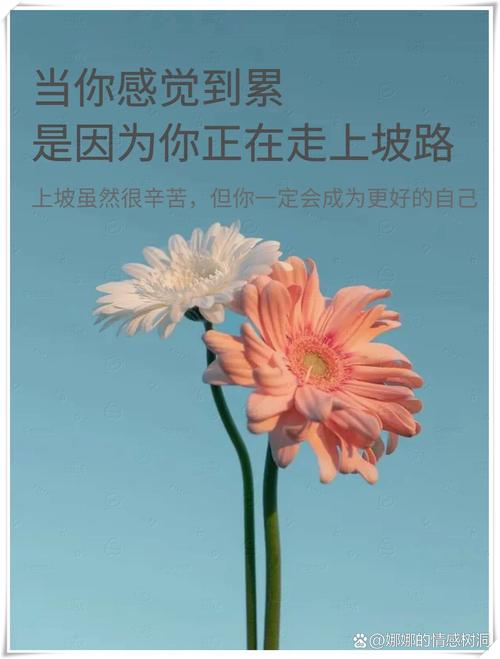 五、心态崩了?恭喜你,正在走上坡路