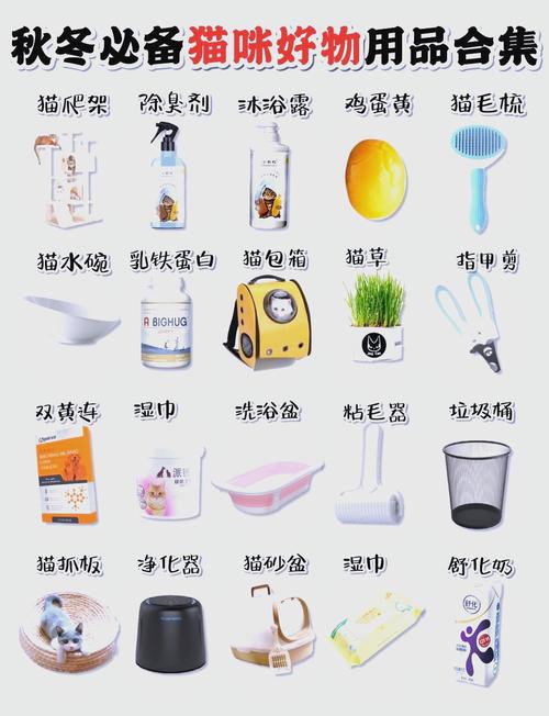 上门喂宠兼职必备工具清单