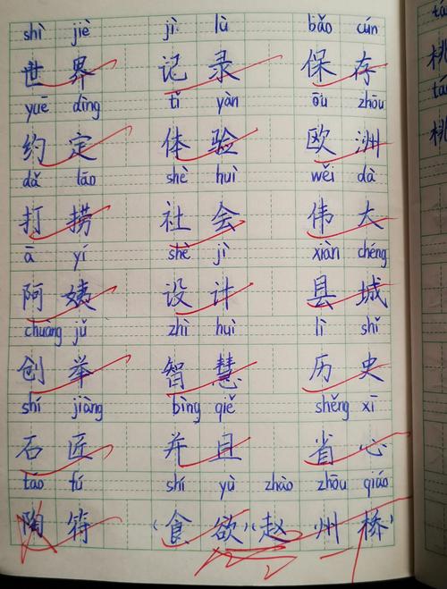 小学生语文生字默写本特写