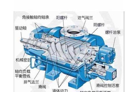 螺杆式制冷压缩机转子剖视图