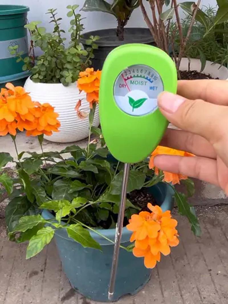 牙签法测试绿植土壤湿度实拍
