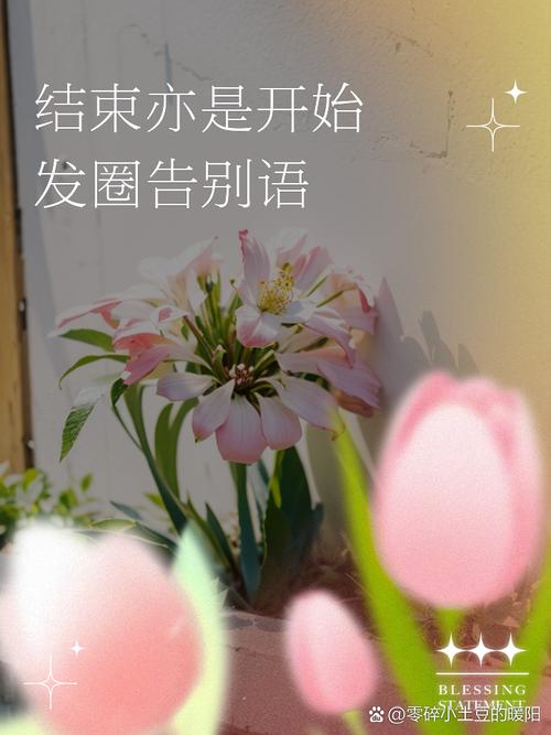 结语？不，是开始
