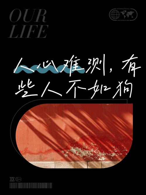 🧩 分叉与社交攻击:人心可比代码难管