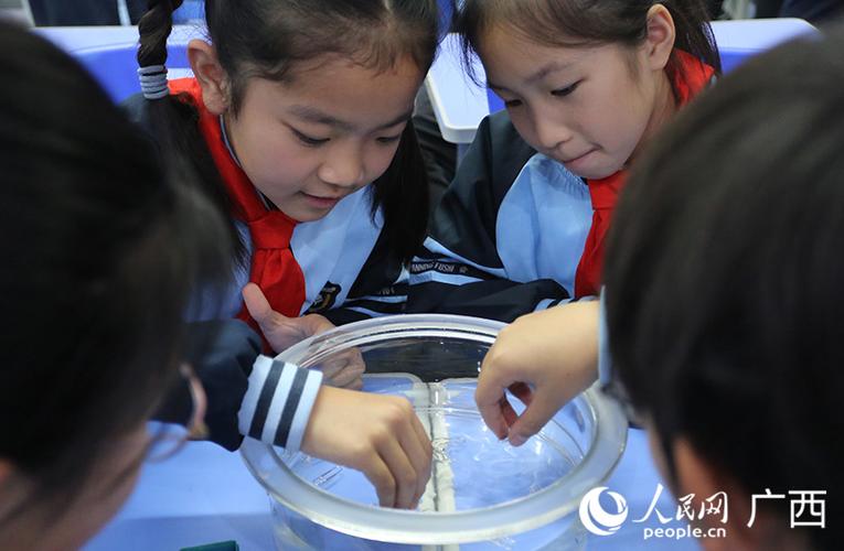 教师启发学生用回形针展示创意用途的课堂互动