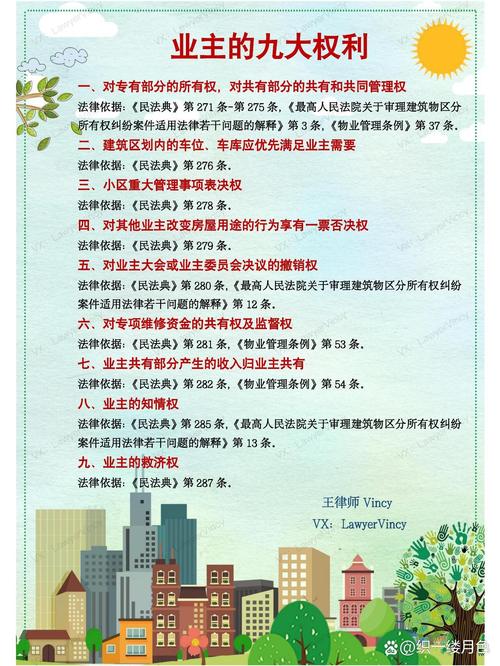 业主权利的法律画像