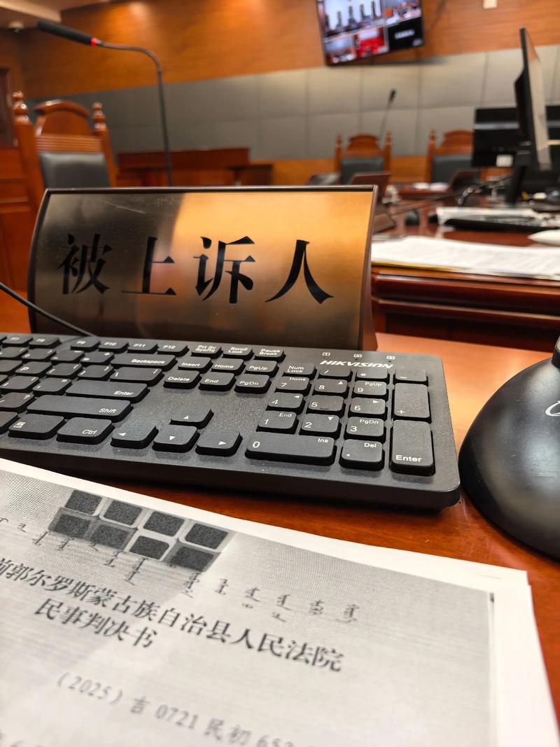 离婚律师与当事人谈话桌面文件图