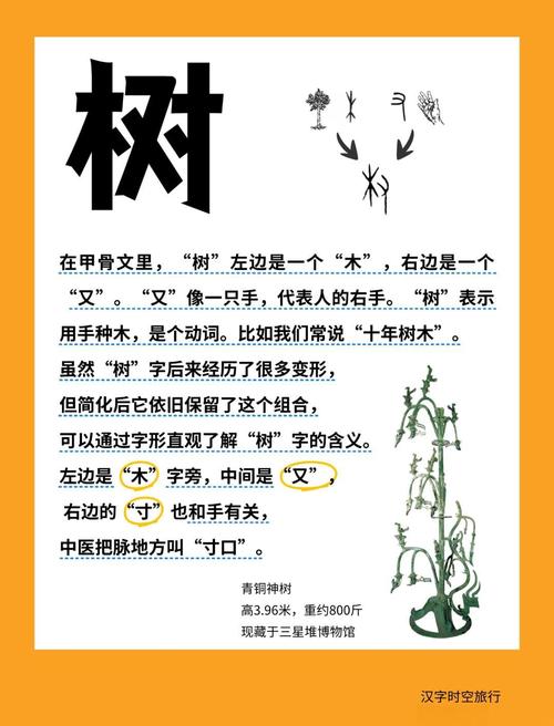 一棵树，半部文化史