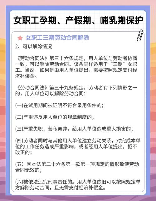 女员工三期保护法律规定示意图